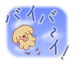 Toy poodle / apricot sticker #8966323