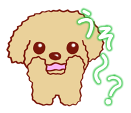 Toy poodle / apricot sticker #8966328