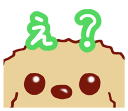 Toy poodle / apricot sticker #8966332