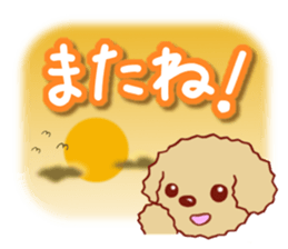 Toy poodle / apricot sticker #8966334