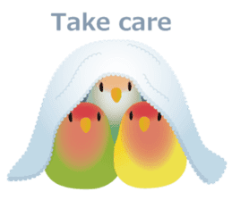 Love Birds Winter Version sticker #8966649