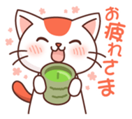 Hakata of cat 2 sticker #8967103