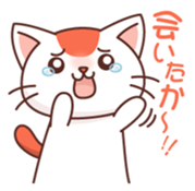 Hakata of cat 2 sticker #8967120