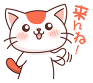 Hakata of cat 2 sticker #8967121