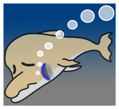 Friend of the SEA  Dolphin and Whale 3 sticker #8969227