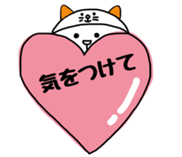 Nekokaburi Neko 4 sticker #8971911