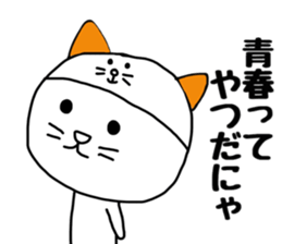Nekokaburi Neko 4 sticker #8971921