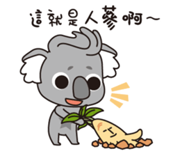 Bears ready to go sticker #8972241