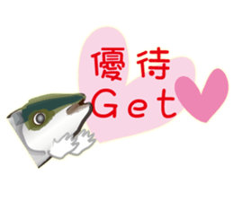 Cost performance yellowtail sticker #8975058