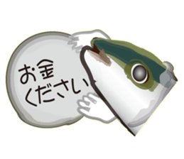 Cost performance yellowtail sticker #8975061