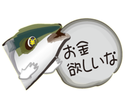 Cost performance yellowtail sticker #8975062