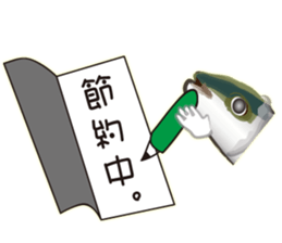 Cost performance yellowtail sticker #8975064