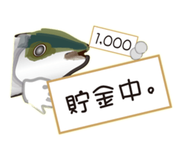 Cost performance yellowtail sticker #8975065