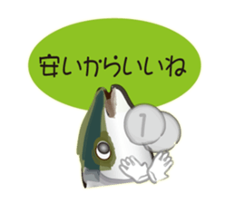 Cost performance yellowtail sticker #8975068