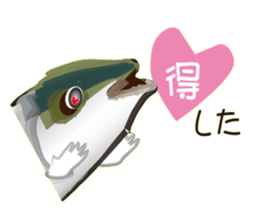 Cost performance yellowtail sticker #8975091