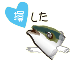 Cost performance yellowtail sticker #8975092