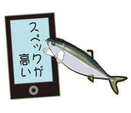 Cost performance yellowtail sticker #8975093