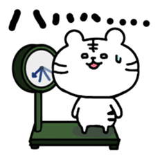 This is a day of the white tiger. sticker #8975878