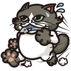 Bad mood cat:but I'm not bad mood!