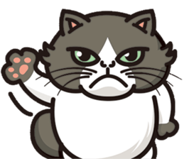 Bad mood cat:but I'm not bad mood! sticker #8979536