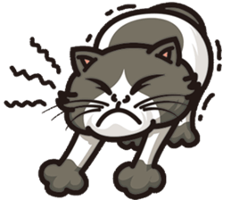 Bad mood cat:but I'm not bad mood! sticker #8979541