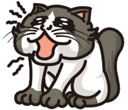 Bad mood cat:but I'm not bad mood! sticker #8979548