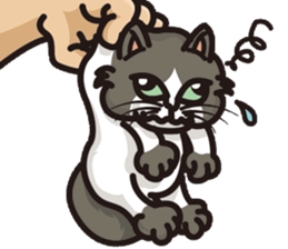 Bad mood cat:but I'm not bad mood! sticker #8979569