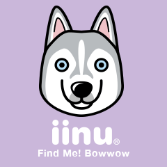 iinu - Siberian Husky