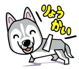 iinu - Siberian Husky sticker #8981737