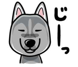 iinu - Siberian Husky sticker #8981738