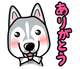 iinu - Siberian Husky sticker #8981739