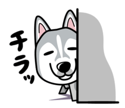 iinu - Siberian Husky sticker #8981741