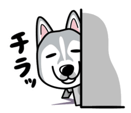 iinu - Siberian Husky sticker #8981741