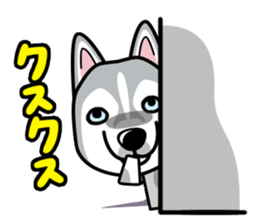 iinu - Siberian Husky sticker #8981742