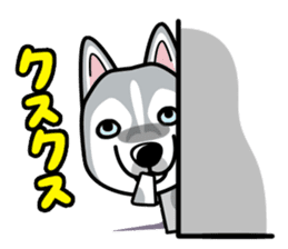 iinu - Siberian Husky sticker #8981742