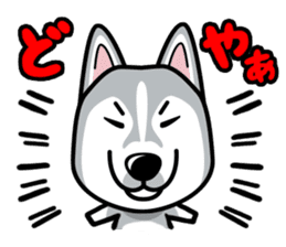 iinu - Siberian Husky sticker #8981743