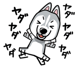iinu - Siberian Husky sticker #8981745