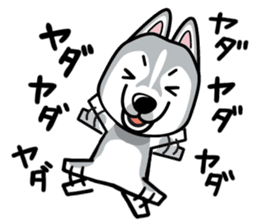 iinu - Siberian Husky sticker #8981745