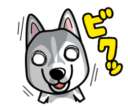 iinu - Siberian Husky sticker #8981746
