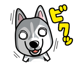iinu - Siberian Husky sticker #8981746