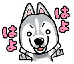 iinu - Siberian Husky sticker #8981747