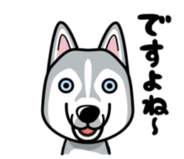 iinu - Siberian Husky sticker #8981749