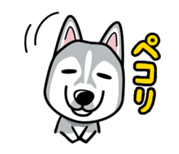 iinu - Siberian Husky sticker #8981756