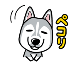iinu - Siberian Husky sticker #8981756