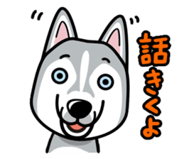 iinu - Siberian Husky sticker #8981758