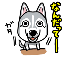 iinu - Siberian Husky sticker #8981760