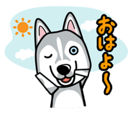iinu - Siberian Husky sticker #8981761