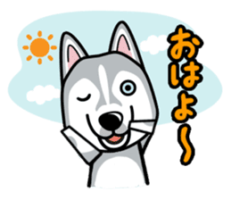 iinu - Siberian Husky sticker #8981761