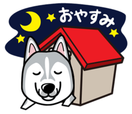iinu - Siberian Husky sticker #8981762