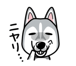 iinu - Siberian Husky sticker #8981765
